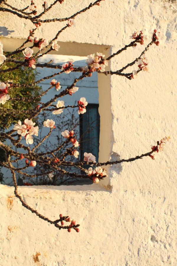 Masseria Piccole Taverne Rosa Marina Exterior foto