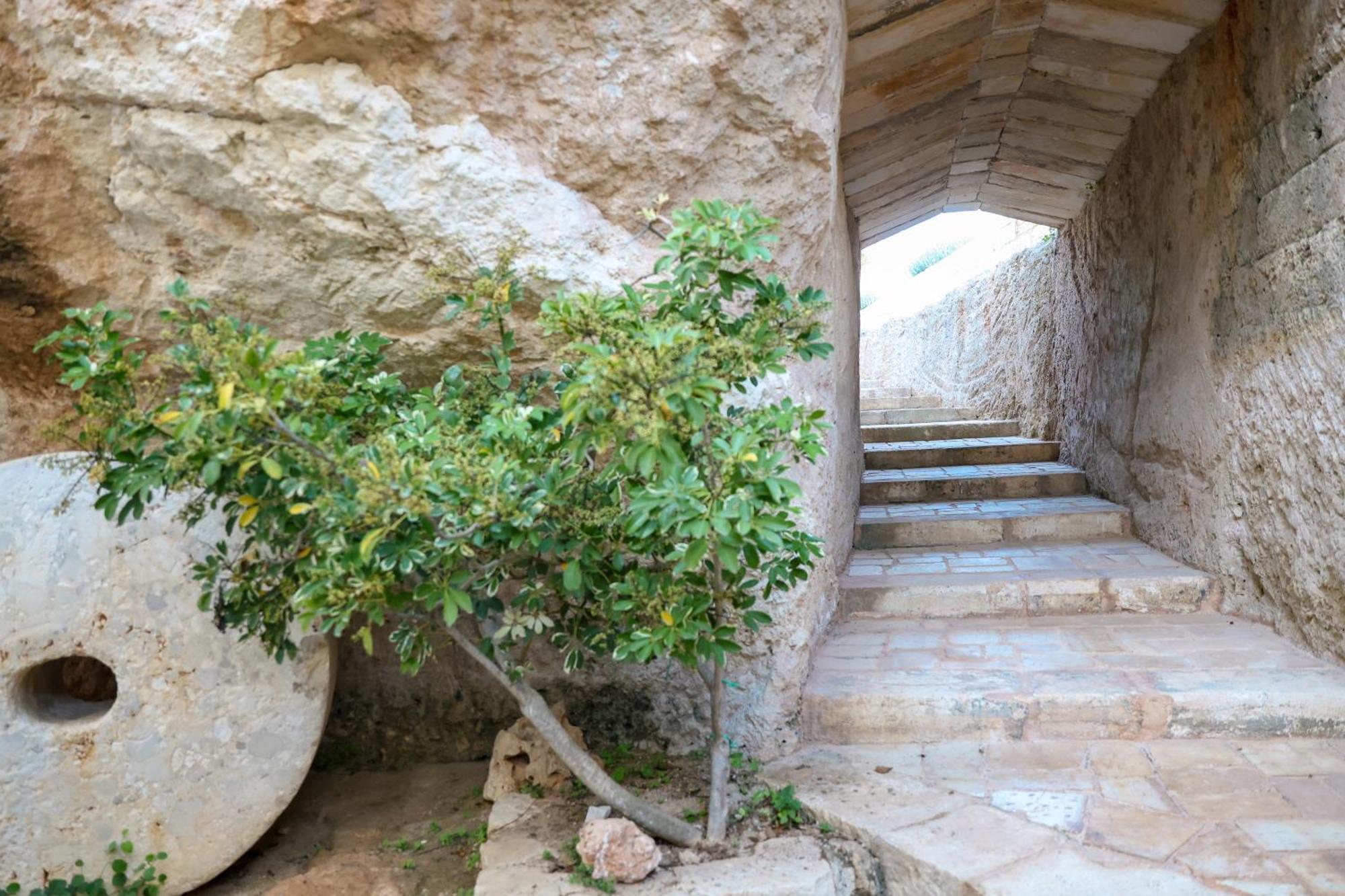 Masseria Piccole Taverne Rosa Marina Exterior foto